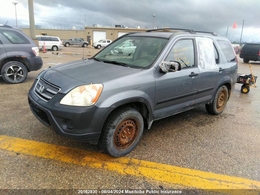 2005 Honda Cr-V VIN: JHLRD78875C801046 Lot: 20162830