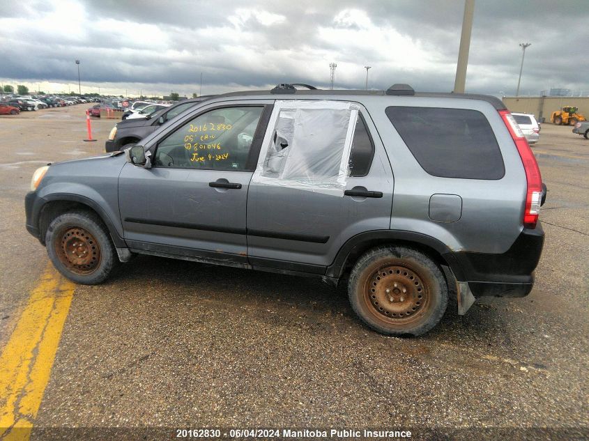 2005 Honda Cr-V VIN: JHLRD78875C801046 Lot: 20162830