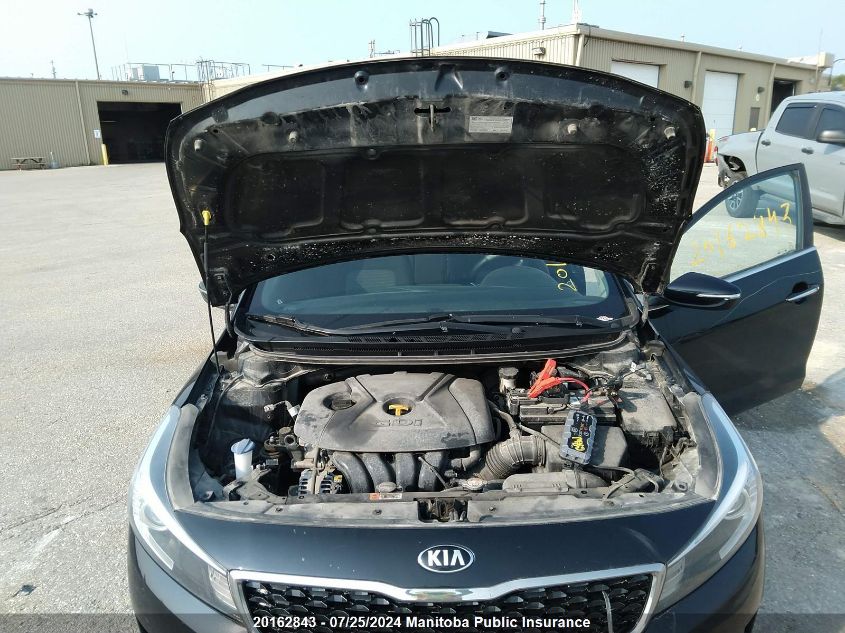 2017 Kia Forte Ex VIN: 3KPFL4A80HE074342 Lot: 20162843