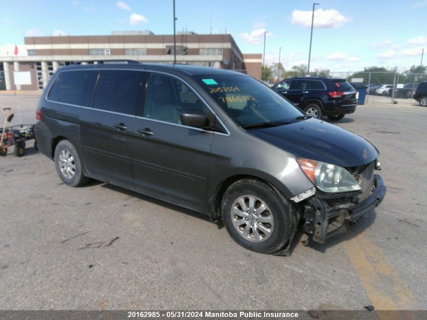 2008 Honda Odyssey Ex-L VIN: 5FNRL38668B507460 Lot: 20162985