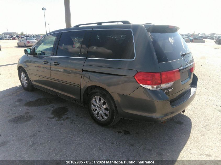 2008 Honda Odyssey Ex-L VIN: 5FNRL38668B507460 Lot: 20162985