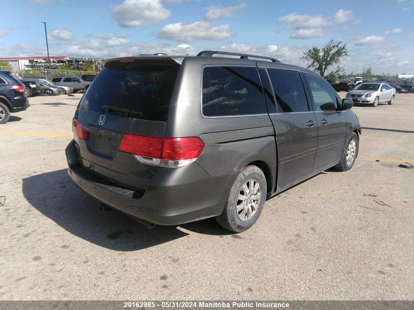 2008 Honda Odyssey Ex-L VIN: 5FNRL38668B507460 Lot: 20162985