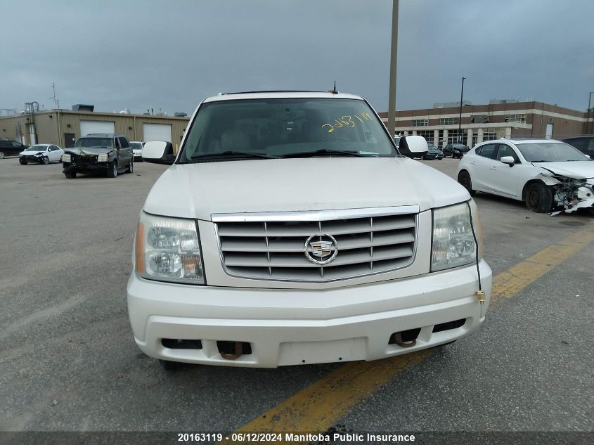 2005 Cadillac Escalade VIN: 1GYEK63N85R137467 Lot: 20163119