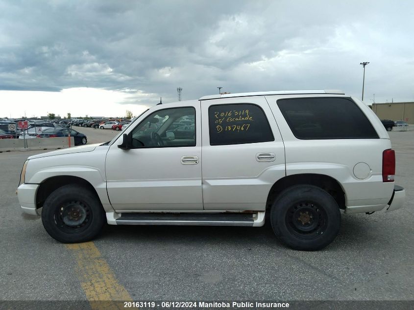 2005 Cadillac Escalade VIN: 1GYEK63N85R137467 Lot: 20163119