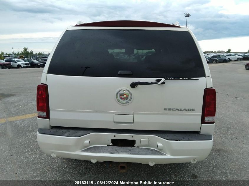 2005 Cadillac Escalade VIN: 1GYEK63N85R137467 Lot: 20163119