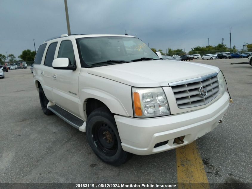 2005 Cadillac Escalade VIN: 1GYEK63N85R137467 Lot: 20163119