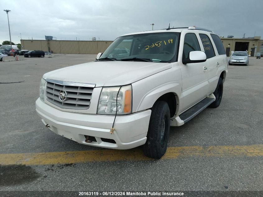 2005 Cadillac Escalade VIN: 1GYEK63N85R137467 Lot: 20163119