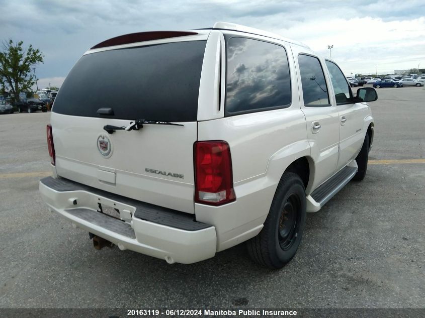 2005 Cadillac Escalade VIN: 1GYEK63N85R137467 Lot: 20163119