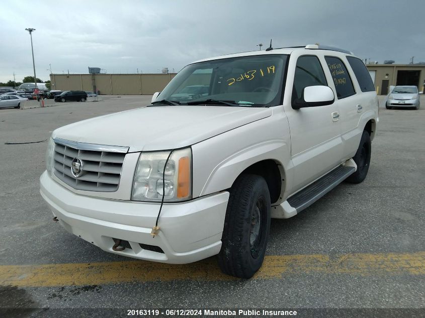 2005 Cadillac Escalade VIN: 1GYEK63N85R137467 Lot: 20163119