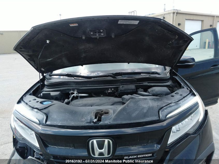 2019 Honda Pilot Black Edition VIN: 5FNYF6H04KB500109 Lot: 20163192