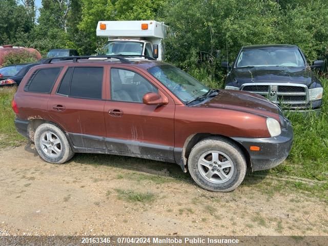 2003 Hyundai Santa Fe Gls VIN: KM8SC73D73U406857 Lot: 20163346