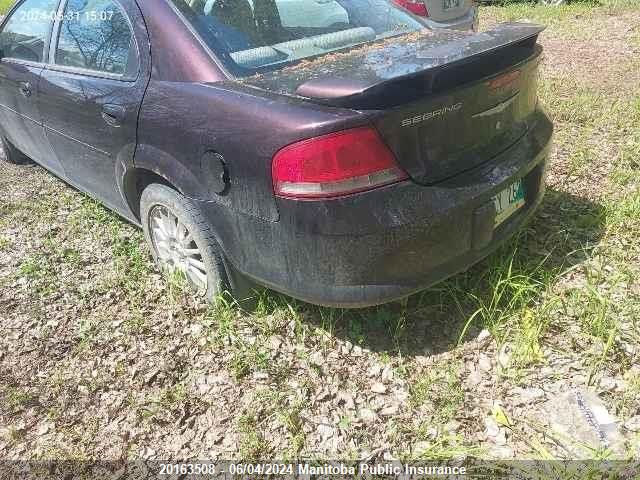 2004 Chrysler Sebring Lxi VIN: 1C3EL56RX4N387380 Lot: 20163508