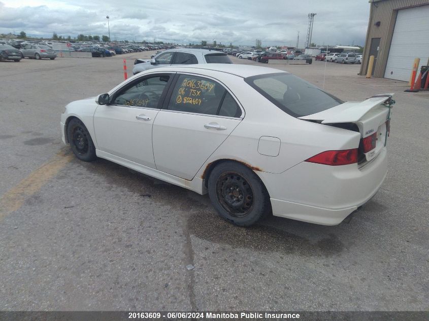 2006 Acura Tsx VIN: JH4CL96886C802386 Lot: 20163609