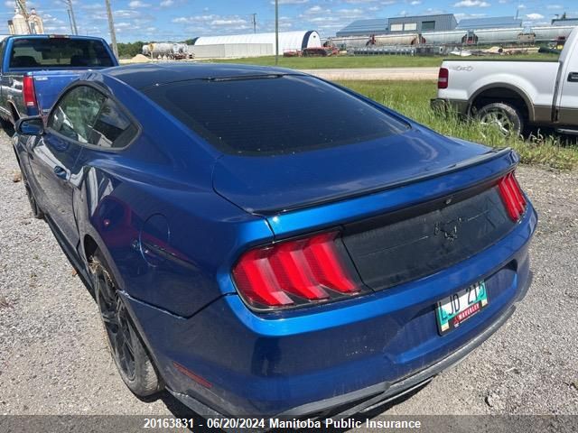 2018 Ford Mustang VIN: 1FA6P8TH8J5141480 Lot: 20163831