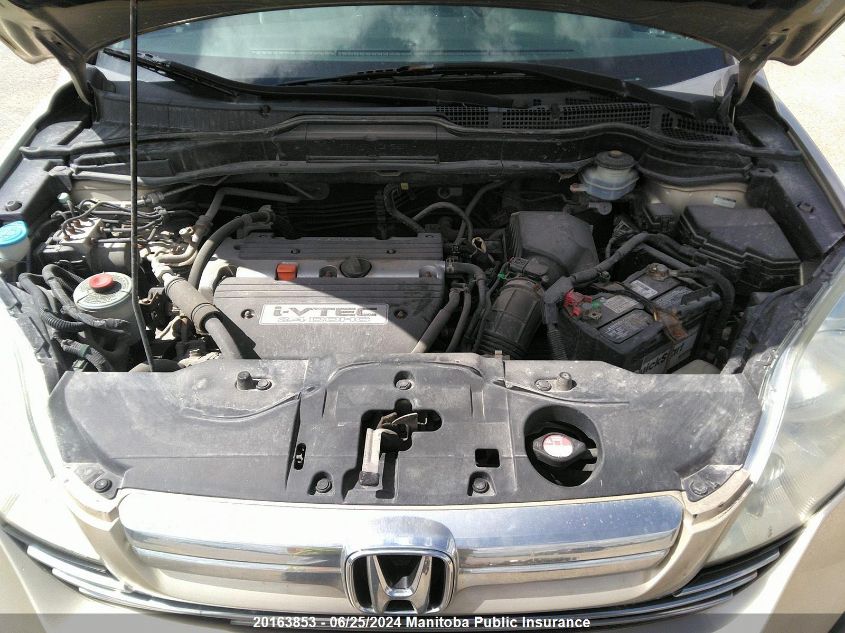 2008 Honda Cr-V Ex-L VIN: 5J6RE487X8L811486 Lot: 20163853