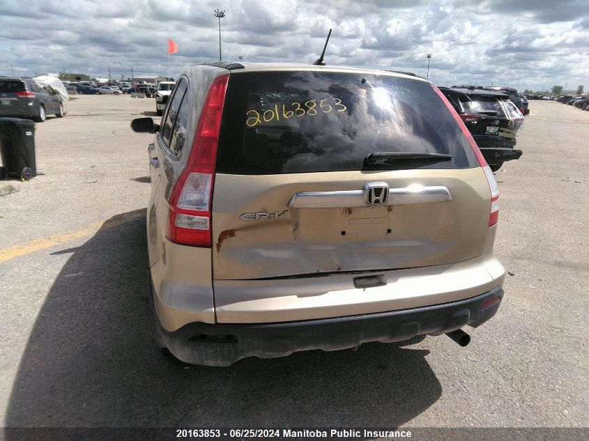 2008 Honda Cr-V Ex-L VIN: 5J6RE487X8L811486 Lot: 20163853