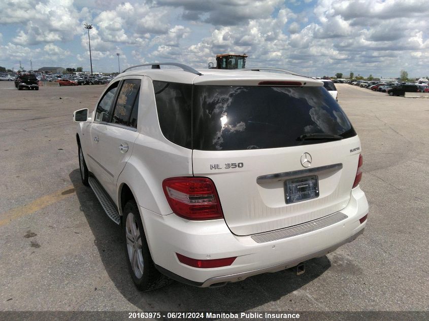 2011 Mercedes Benz Ml350 Bluetec VIN: 4JGBB2FBXBA729610 Lot: 20163975