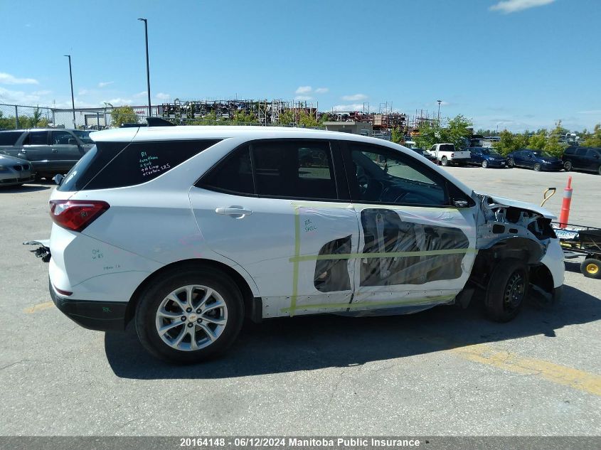 2021 Chevrolet Equinox Ls VIN: 2GNAXHEV1M6129145 Lot: 20164148