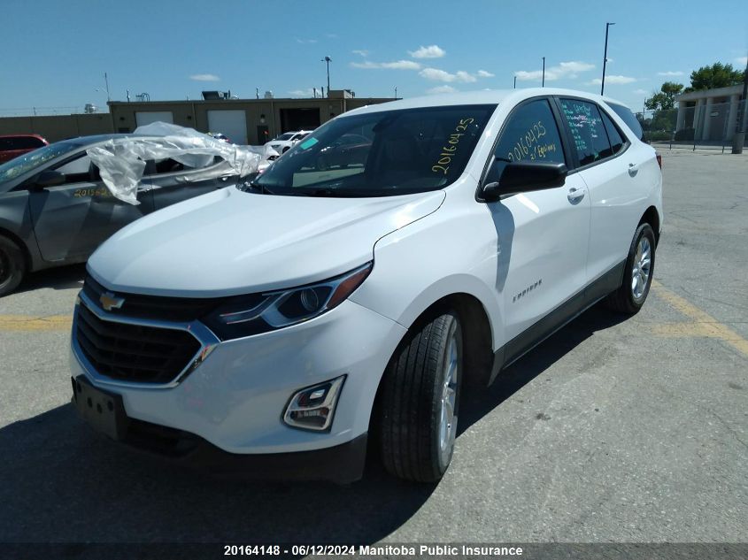 2021 Chevrolet Equinox Ls VIN: 2GNAXHEV1M6129145 Lot: 20164148