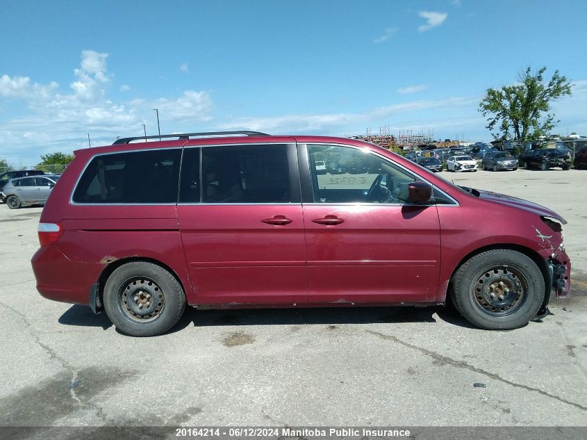 2005 Honda Odyssey Ex VIN: 5FNRL38465B503158 Lot: 20164214