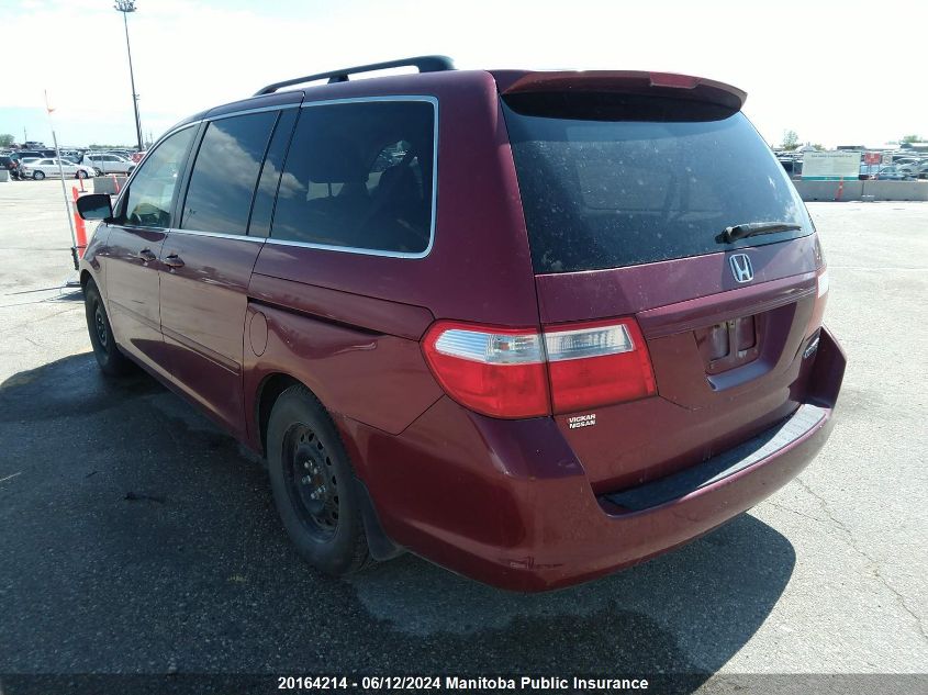 2005 Honda Odyssey Ex VIN: 5FNRL38465B503158 Lot: 20164214