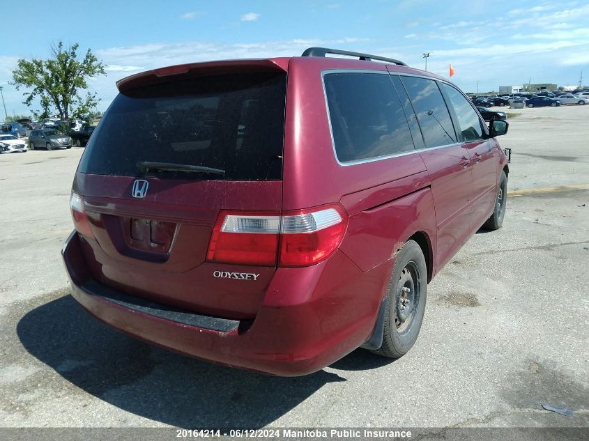 2005 Honda Odyssey Ex VIN: 5FNRL38465B503158 Lot: 20164214