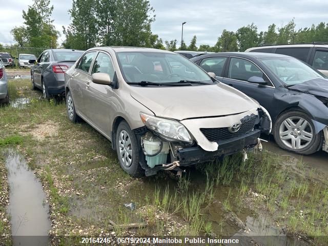 2010 Toyota Corolla Ce VIN: 2T1BU4EE2AC251568 Lot: 20164246