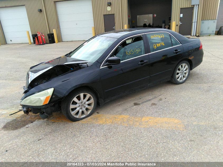 2007 Honda Accord Ex-V6 VIN: 1HGCM66537A801776 Lot: 20164323