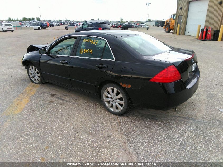 2007 Honda Accord Ex-V6 VIN: 1HGCM66537A801776 Lot: 20164323