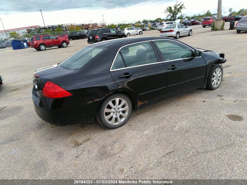 2007 Honda Accord Ex-V6 VIN: 1HGCM66537A801776 Lot: 20164323