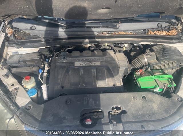 2008 Honda Odyssey Ex-L Ex-L VIN: 5FNRL387X8B509348 Lot: 20164406