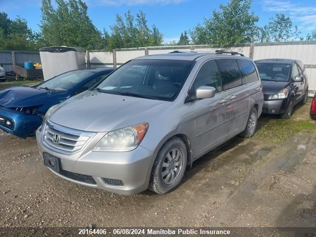 2008 Honda Odyssey Ex-L Ex-L VIN: 5FNRL387X8B509348 Lot: 20164406