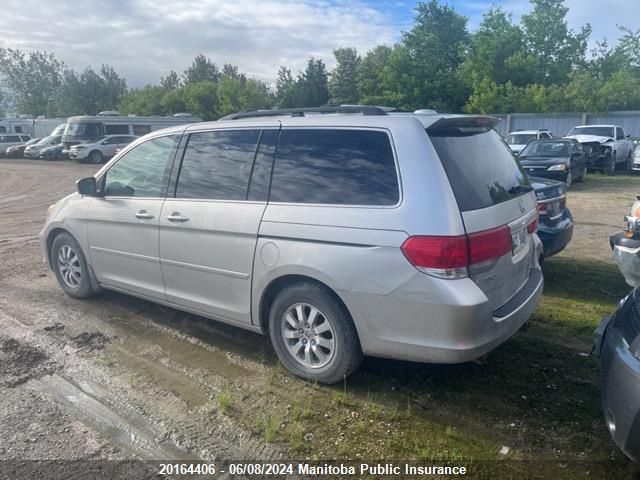 2008 Honda Odyssey Ex-L Ex-L VIN: 5FNRL387X8B509348 Lot: 20164406