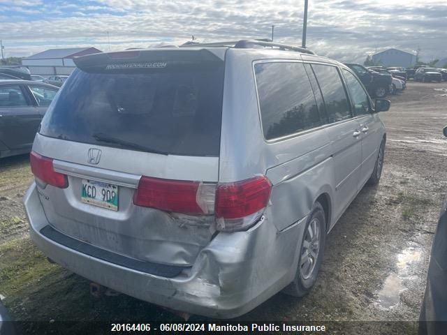 2008 Honda Odyssey Ex-L Ex-L VIN: 5FNRL387X8B509348 Lot: 20164406