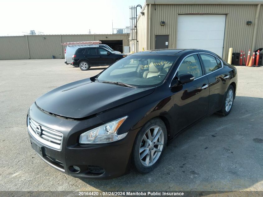 2013 Nissan Maxima 3.5 Sv VIN: 1N4AA5AP5DC833636 Lot: 20164420