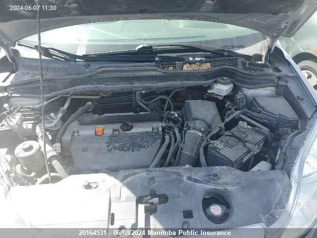 2007 Honda Cr-V Ex-L VIN: 5J6RE48737L808556 Lot: 20164531