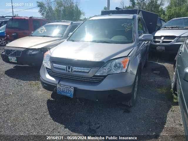 2007 Honda Cr-V Ex-L VIN: 5J6RE48737L808556 Lot: 20164531