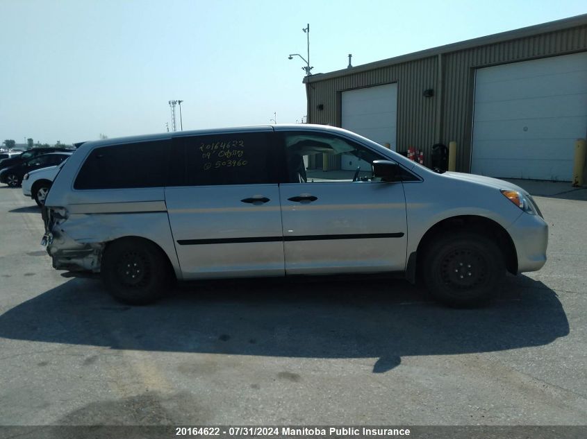 2009 Honda Odyssey Dx VIN: 5FNRL38199B503960 Lot: 20164622