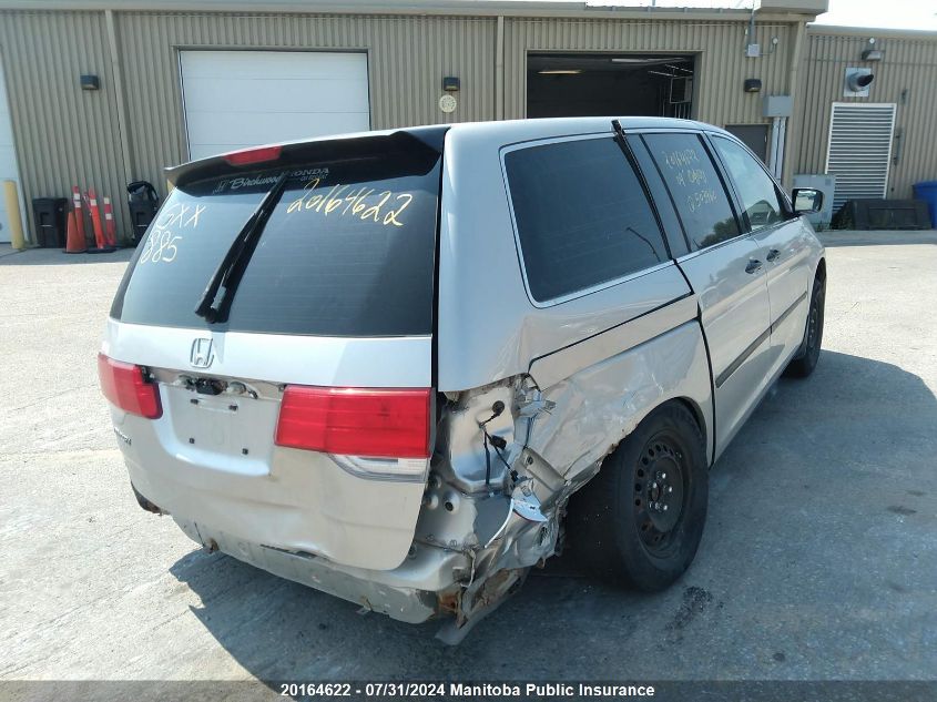 2009 Honda Odyssey Dx VIN: 5FNRL38199B503960 Lot: 20164622