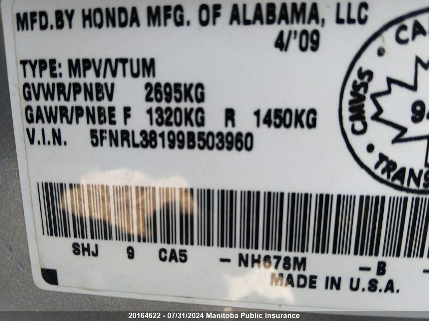 2009 Honda Odyssey Dx VIN: 5FNRL38199B503960 Lot: 20164622