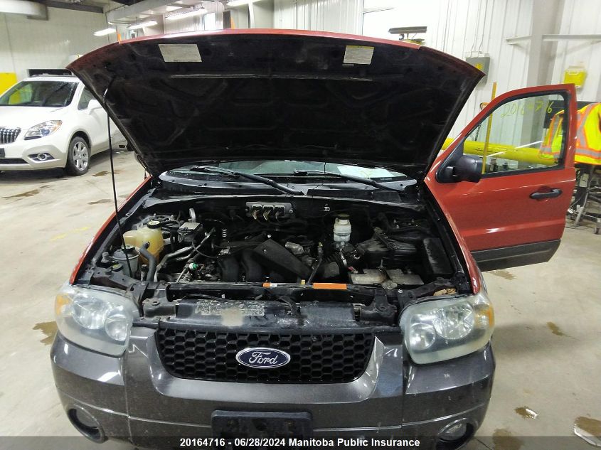 2006 Ford Escape Xlt V6 VIN: 1FMYU93126KD44969 Lot: 20164716