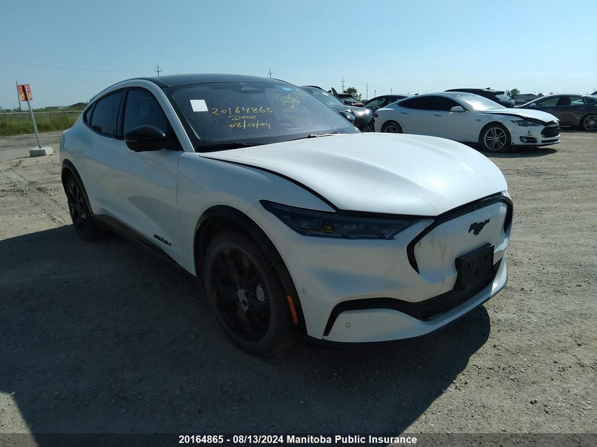 2023 Ford Mustang Mach-E Premium 300A VIN: 3FMTK3SU0PMA16985 Lot: 20164865