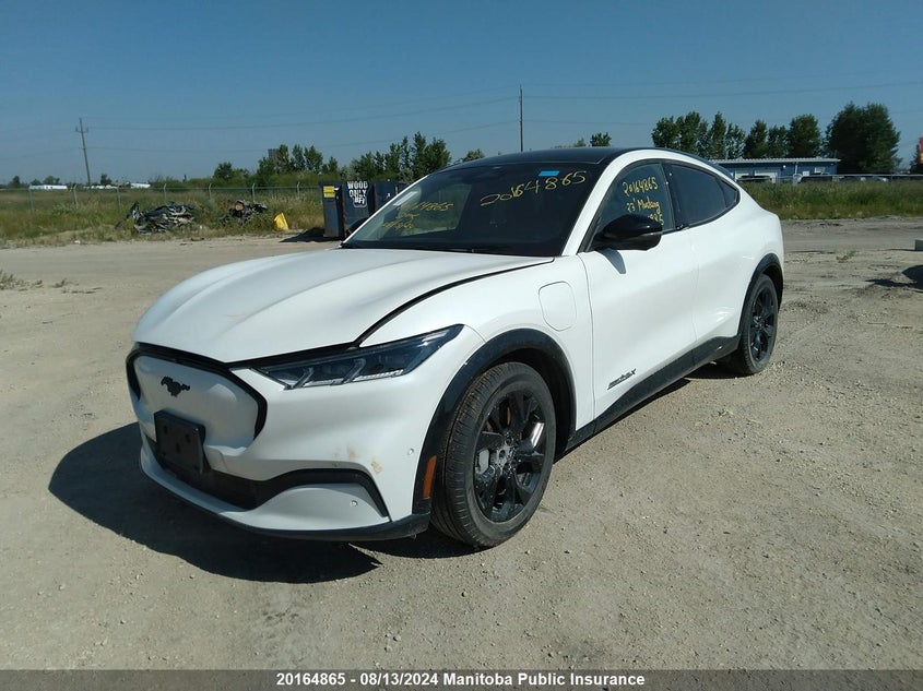 2023 Ford Mustang Mach-E Premium 300A VIN: 3FMTK3SU0PMA16985 Lot: 20164865