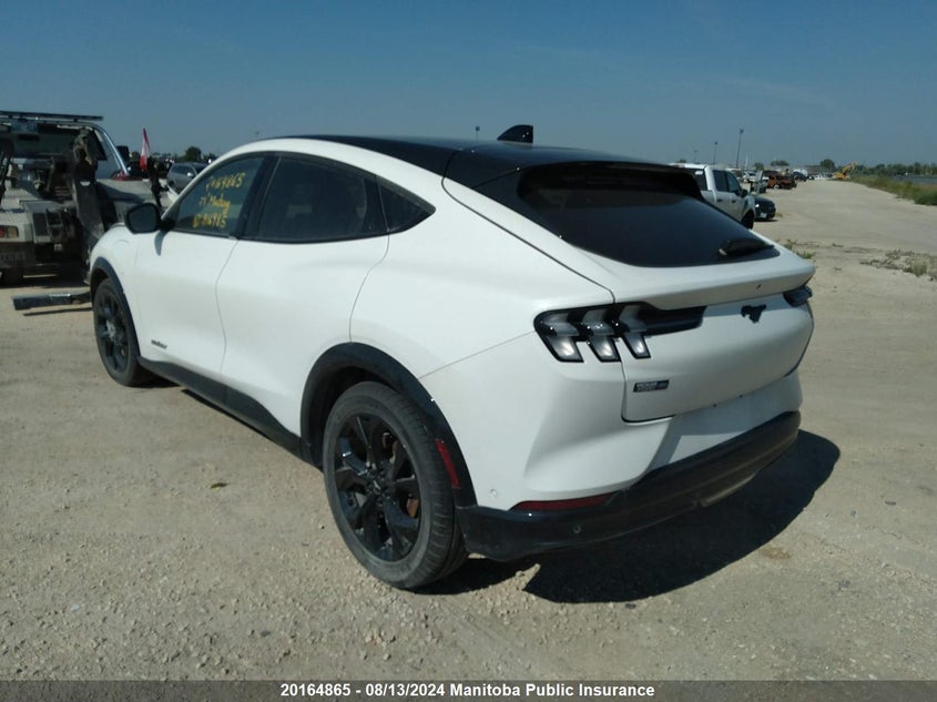 2023 Ford Mustang Mach-E Premium 300A VIN: 3FMTK3SU0PMA16985 Lot: 20164865