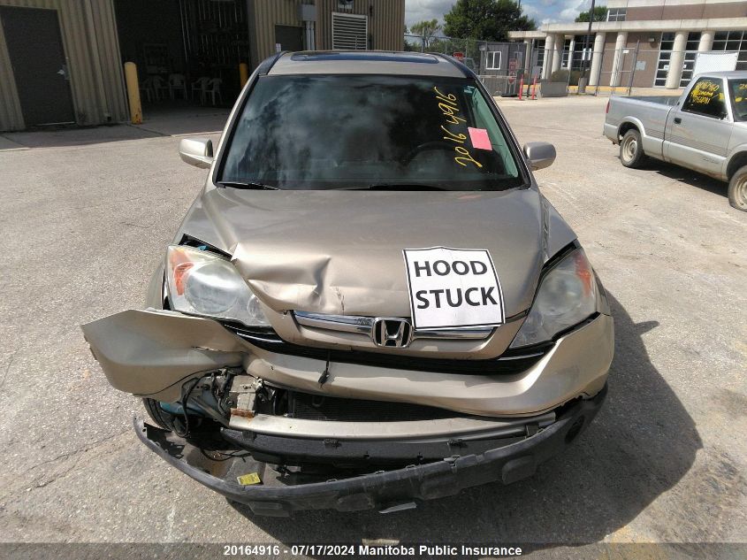 2009 Honda Cr-V Ex-L VIN: 5J6RE48769L801488 Lot: 20164916