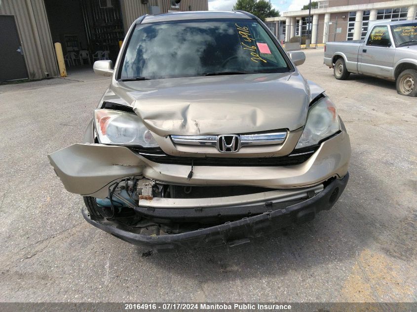 2009 Honda Cr-V Ex-L VIN: 5J6RE48769L801488 Lot: 20164916