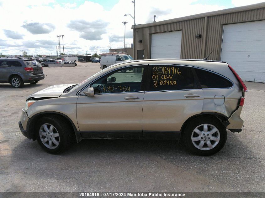 2009 Honda Cr-V Ex-L VIN: 5J6RE48769L801488 Lot: 20164916