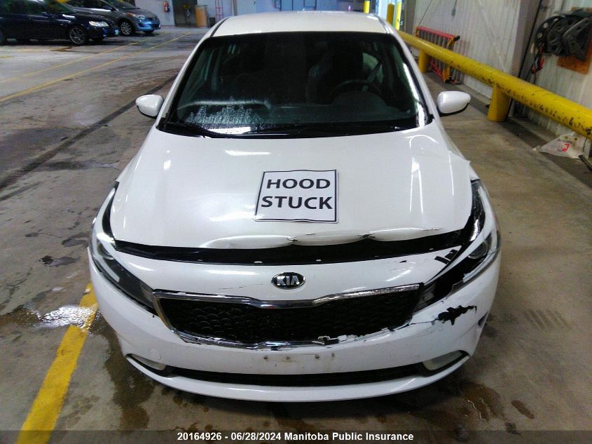 2017 Kia Forte Lx VIN: 3KPFL4A70HE146454 Lot: 20164926