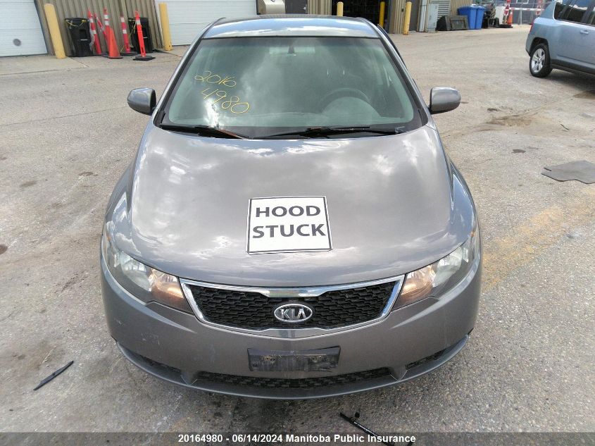 2011 Kia Forte Ex VIN: KNAFU4A21B5331341 Lot: 20164980