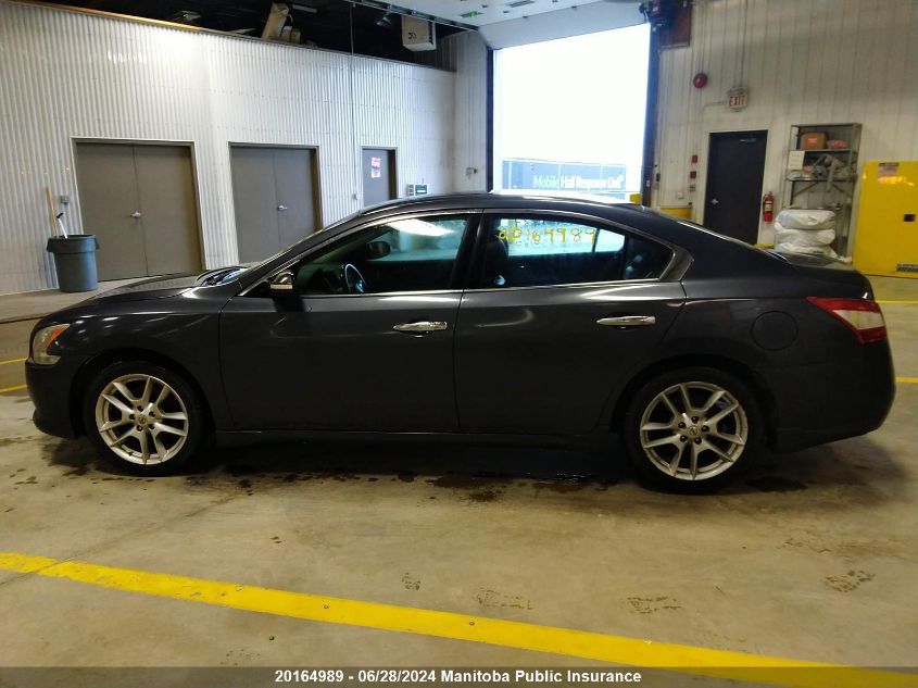 2011 Nissan Maxima 3.5 S VIN: 1N4AA5AP5BC850160 Lot: 20164989